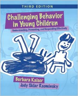 You are currently viewing Challenging Behavior in Young Children