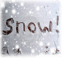 You are currently viewing 2/5 TRAINING POSTPONED DUE TO SNOW